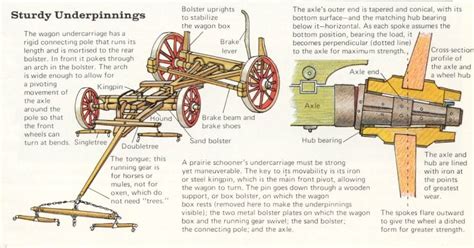 Kingbolt wagon. Wagons. The object of the invention is to provide a king bolt for Wagons embodying an im proved construction designed to prevent ro tation of the bolt relatively to the Wagon body and the wagon bolster and to secure the body of the bolt to the head in such manner that the likelihood of the body be coming separated from the head is obviated. 