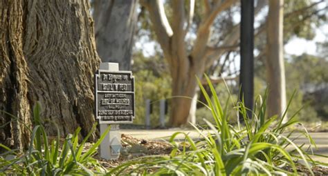 Kings Park Honour Avenues App Crowd Research at UWA