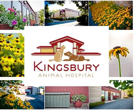 Kingsbury Animal Hospital - Saint Louis, Missouri - Home