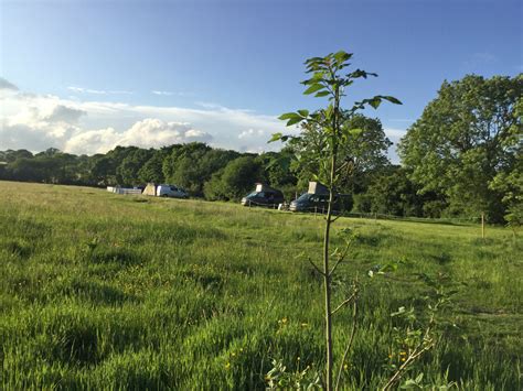 Kingsettle Campsite