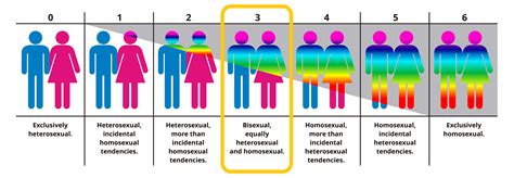 Kinsey spectrum test. The Kinsey Reports and the developed scale had a big impact on the perception of human sexuality in general and homosexuality and bisexuality in particular. Before Kinsey, sexual orientation was conceptualized as only three categories: homosexual, heterosexual and bisexual, and homosexual contacts were regarded as rather rare. 