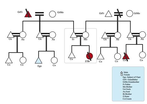 Kinship Chart Maker 20202022 Fill and Sign Printable Template Online