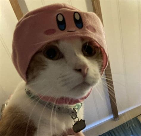 🍑 Kirby.Kitty Leaks XxX