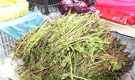 Kircan Halı ve Koltuk Yıkama