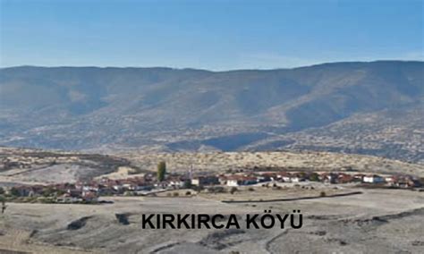 Kirkirca Halı ve Koltuk Yıkama