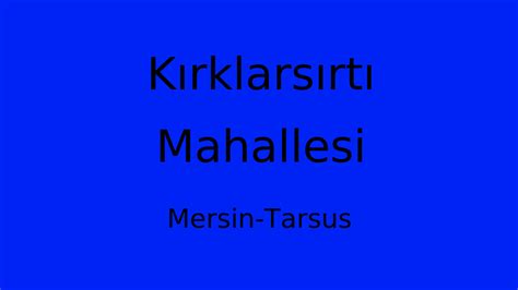 Kirklarsirti Halı ve Koltuk Yıkama