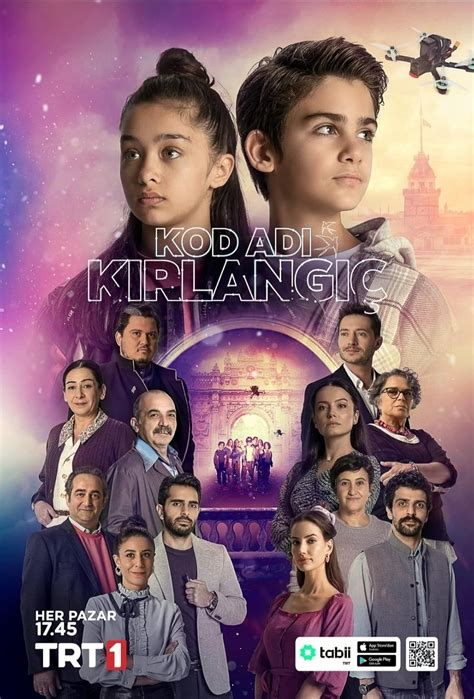 Kirlangic Halı ve Koltuk Yıkama