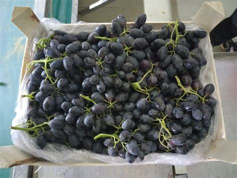 Kirmizidam Halı ve Koltuk Yıkama