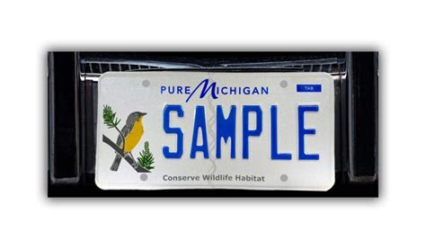 Kirtland’s Warbler To Be Featured on Michigan License Plate in …