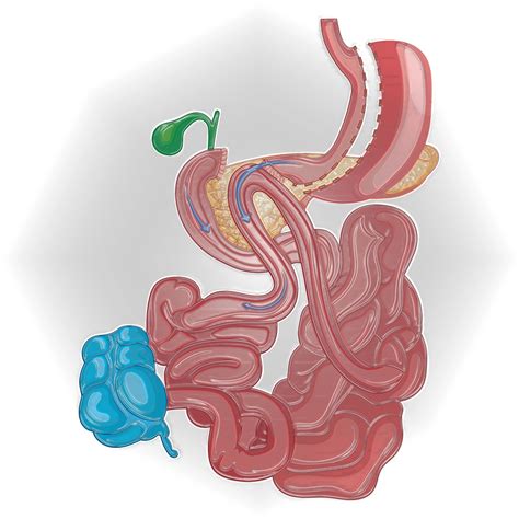 💦 XxX Kis_Sadis Leaked