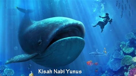 Kisah nabi yunus ditelan ikan paus. .  <a href=https://merchant.sonarmatrix.com/kfv3/in...