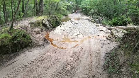 Kisatchie National Forest - Sandstone Trail - YouTube