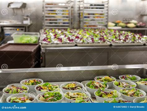 Kitchen Crew - Salad Prep Job Venice Florida …