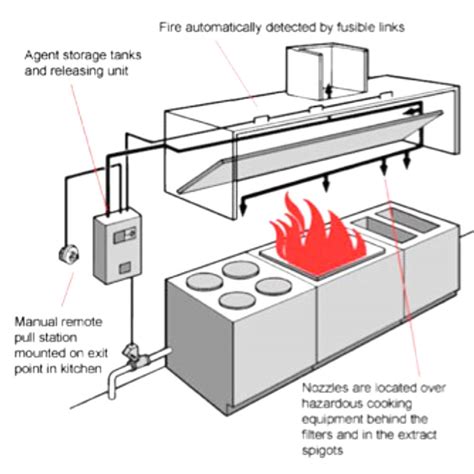 Kitchen fire suppression system design guide. - Biology a global approach 10th edition.