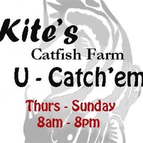 Kite's Catfish Farm, Mohawk, Tennessee. 518 suka · 34 pernah di sini. Catch-out Ponds, Pond Stocking and Bait.. 