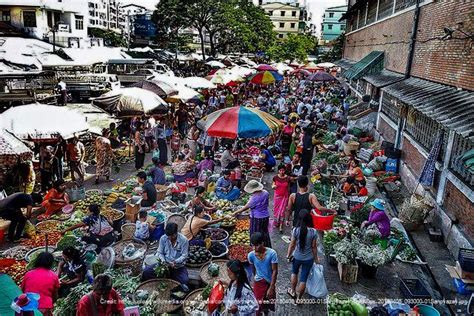 Kito Myanmar Thingangyun