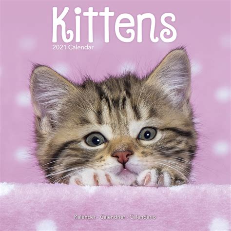 Kitten Calendar