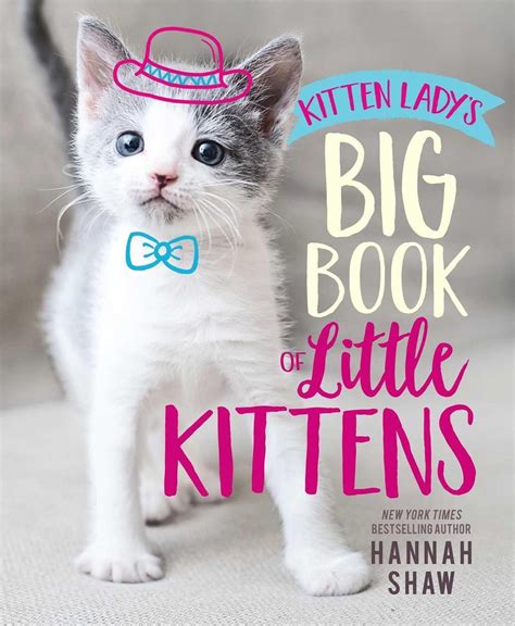 Read Online Kitten Lady 2021 Daytoday Calendar By Hannah Shaw