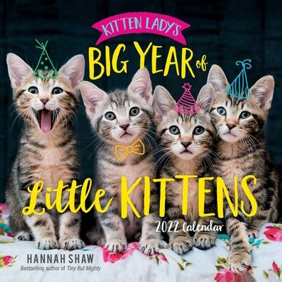 Read Online Kitten Ladys Big Year Of Little Kittens 2021 Wall Calendar By Hannah Shaw