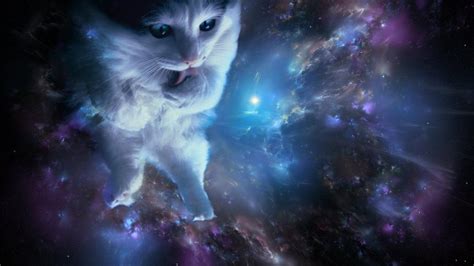 Kittenfromspace0 Leaked 😈 [CLIP]