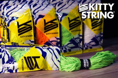 Kitty String: Top 5 Tips for Choosing the Right 6-String Banjo for You image 1