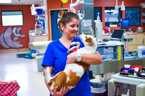 Kitty hawk animal hospital. Things To Know About Kitty hawk animal hospital. 