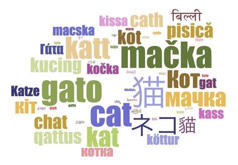 Kitty in different languages oneworldguide.com