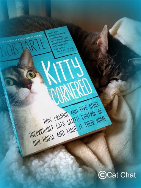 Read Online Kitty Cornered How Frannie And Five Other Incorrigible Cats Seized Control Of Our House And Made It Their Home By Bob Tarte