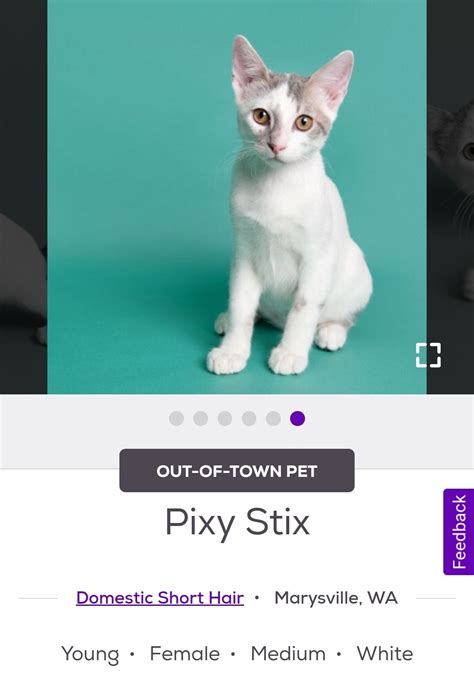 Kitty_Pixy Leaks XXX 153 Photos