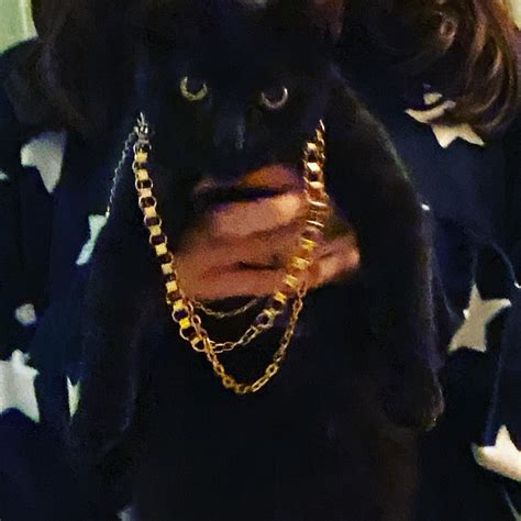Kittygangster Onlyfans Leaked [PPV] 🍆