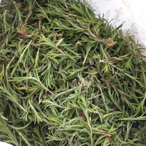 Kiymetdar Halı ve Koltuk Yıkama