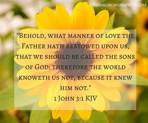 Kjv 1 john 3. New International Version. 3 See what great love the Father has lavished on us, that we should be called children of God! And that is what we are! The reason the world does not … 