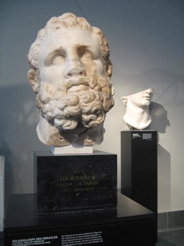 Klassisch griechischen skulpturen der staatlichen museen zu berlin. - Manual de operaciones del montacargas toyota.