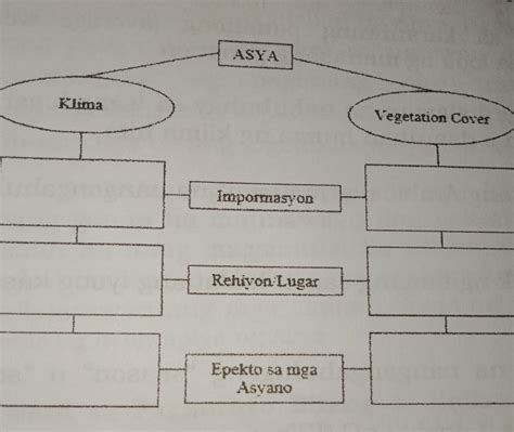 Klima asya vegetation cover - Brainly.ph