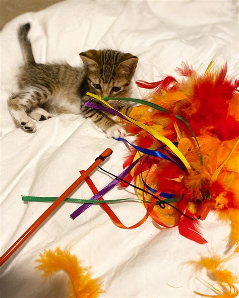 Kmattas Onlyfans Leaked 💋 [PPV]