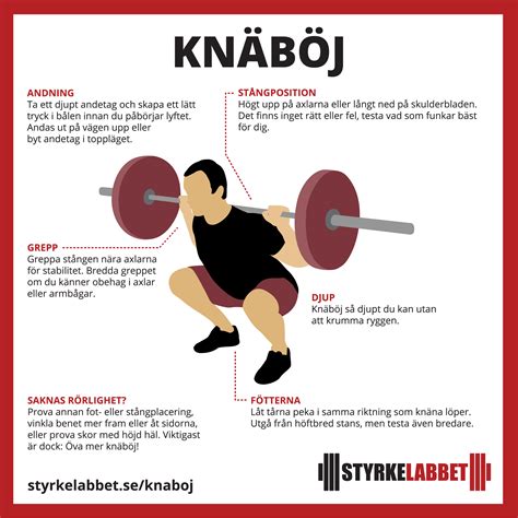 Knäböj muskler