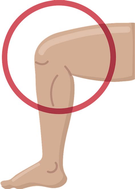 Knee clip art. Things To Know About Knee clip art. 