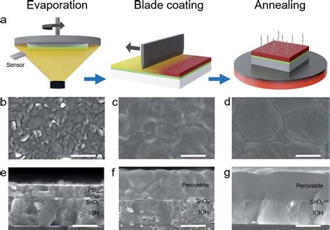 Knife coating process.  PVD coating creates a thin film layer on the blade to...