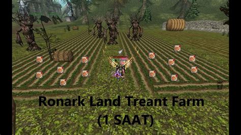 Knight online ronark land