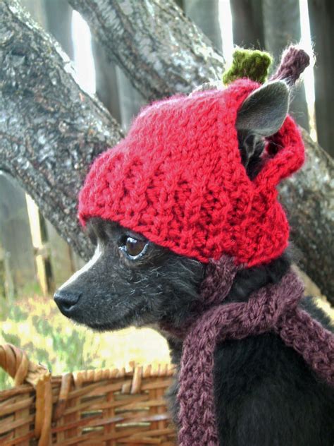 Knitting patterns for dog hats. Check out our knitting dog hat pattern selection for the very best in unique or custom, handmade pieces from our pet accessories shops. 
