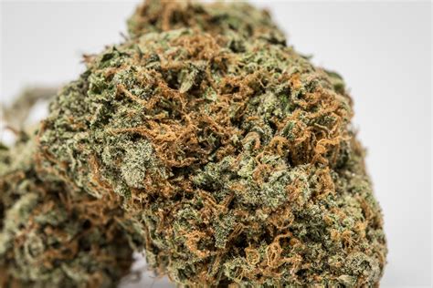 Its loud aroma and intense euphoria provide a solid knockout combination. Buy White Fire OG. Lamb’s Bread (Courtesy of Utopia) ... Parent strains: Humboldt Gelato, Humboldt Frost OG.