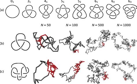 Knots: Simple Closed Polygons are Trivial, there are no …