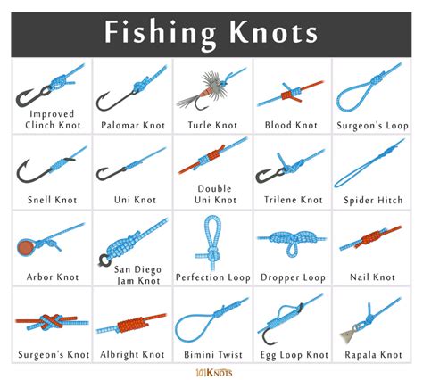 Knots of a 6HP - Ausfish