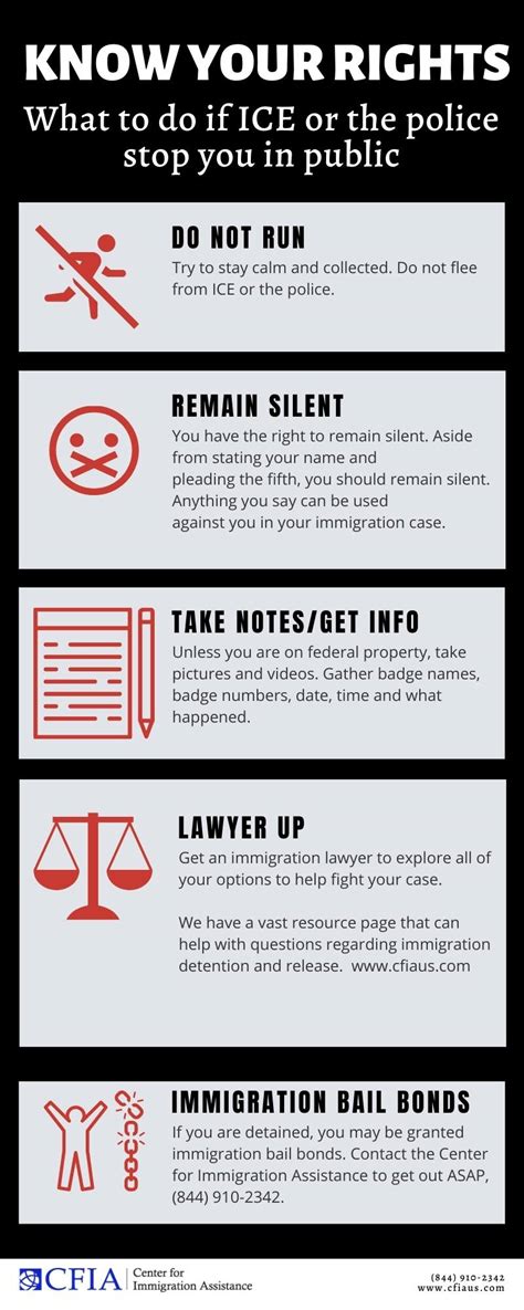 Know Your Rights Ice Printable