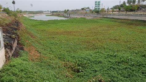 Know your rainwater harvesting structures - The Hindu