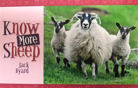 Read Know Your Sheep By Jack Byard