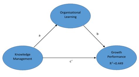 Knowledge And Learning In The Firm