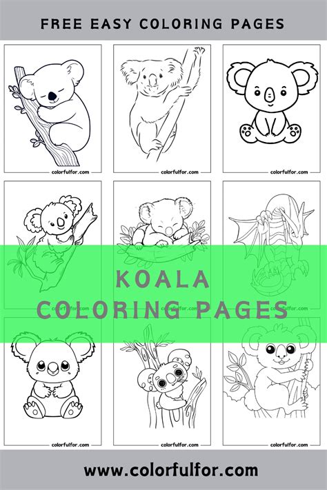 Koala Coloring Shee