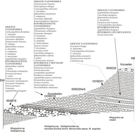 Kocaalan Halı ve Koltuk Yıkama