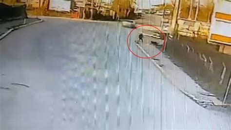 Kocaeli''de okula giden çocuğa 2 köpek böyle saldırdı